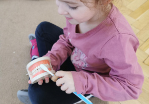 Zajęcia stomatologiczne