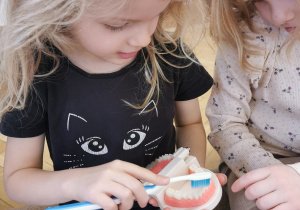 Zajęcia stomatologiczne