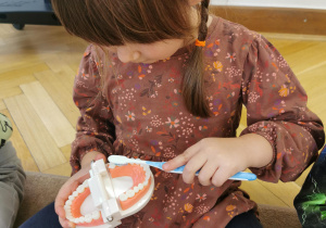 Zajęcia stomatologiczne