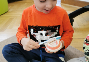 Zajęcia stomatologiczne