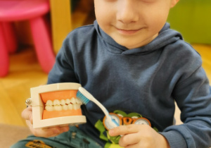 Zajęcia stomatologiczne