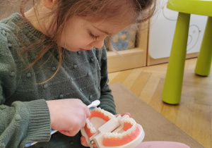 Zajęcia stomatologiczne