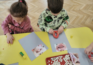 Zajęcia stomatologiczne