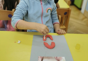 Zajęcia stomatologiczne