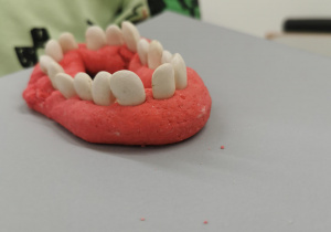 Zajęcia stomatologiczne