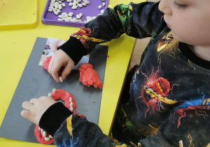 Zajęcia stomatologiczne