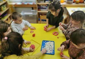 Zajęcia stomatologiczne
