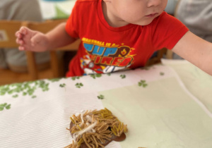 W krainie Niedźwiedzia