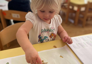 W krainie Niedźwiedzia