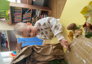 W krainie Niedźwiedzia