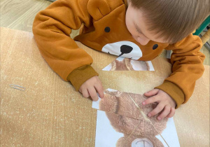 DZIEŃ PLUSZOWEGO MISIA