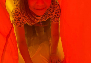 DZIEŃ PLUSZOWEGO MISIA