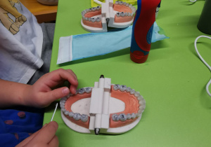 Warsztaty stomatologiczne