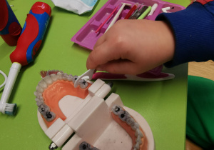 Warsztaty stomatologiczne