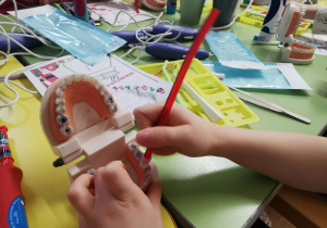 Warsztaty stomatologiczne