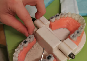 Warsztaty stomatologiczne