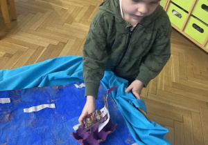 Płyniemy na ratunek pingwinom