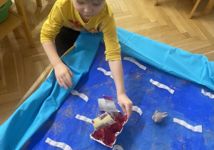 Płyniemy na ratunek pingwinom