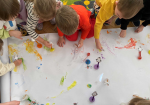 Ślizgawka pingwinków i łyżwiarek