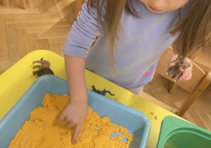 Zwierzęta egzotyczne - zabawa sensoryczna