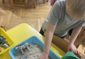 Zwierzęta egzotyczne - zabawa sensoryczna