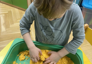 Zwierzęta egzotyczne - zabawa sensoryczna