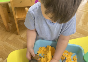 Zwierzęta egzotyczne - zabawa sensoryczna