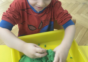 Zwierzęta egzotyczne - zabawa sensoryczna