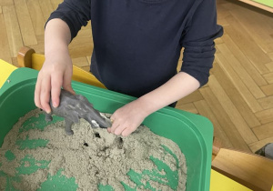 Zwierzęta egzotyczne - zabawa sensoryczna