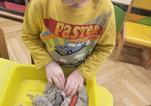 Zwierzęta egzotyczne - zabawa sensoryczna