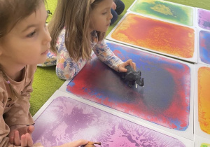 Zwierzęta egzotyczne - zabawa sensoryczna