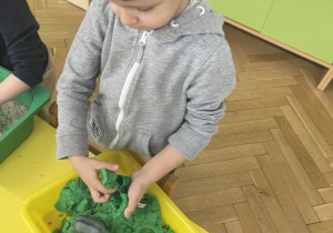 Zwierzęta egzotyczne - zabawa sensoryczna