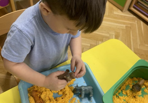 Zwierzęta egzotyczne - zabawa sensoryczna