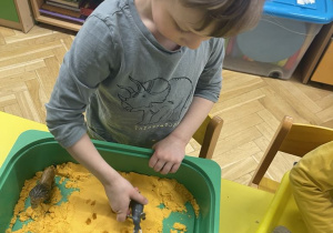 Zwierzęta egzotyczne - zabawa sensoryczna