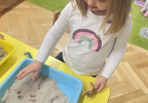 Zwierzęta egzotyczne - zabawa sensoryczna