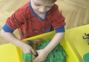 Zwierzęta egzotyczne - zabawa sensoryczna