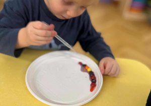 Klub Młodego Odkrywcy