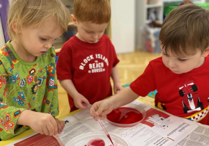 Tydzień hiszpański