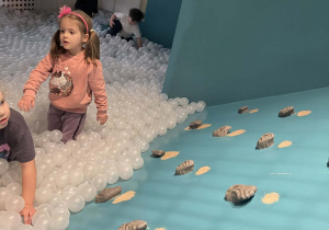 ,,Sensorysie,, - wycieczka