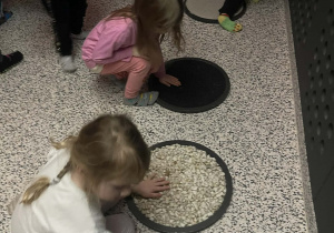 ,,Sensorysie,, - wycieczka