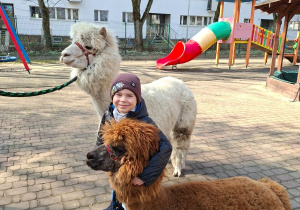 Spotkanie z alpakami