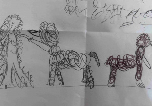 Spotkanie z alpakami