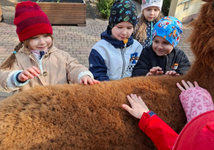 Spotkanie z alpakami