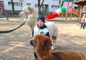 Spotkanie z alpakami