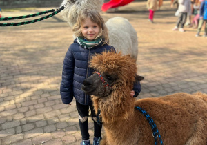 Spotkanie z alpakami