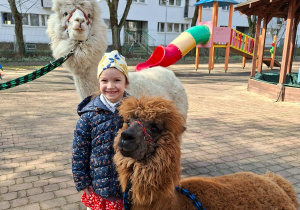 Spotkanie z alpakami