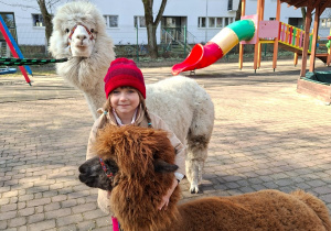 Spotkanie z alpakami