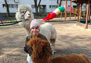 Spotkanie z alpakami