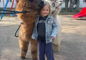 Spotkanie z Alpakami