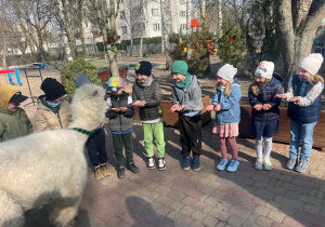 Spotkanie z Alpakami